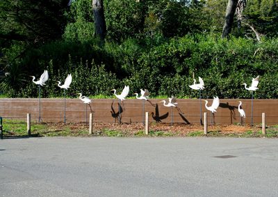 植え込みの前に並び、壁に影を落とす白い鷺の彫刻群